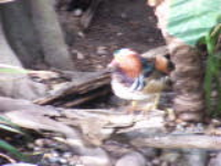 100_5272.jpg